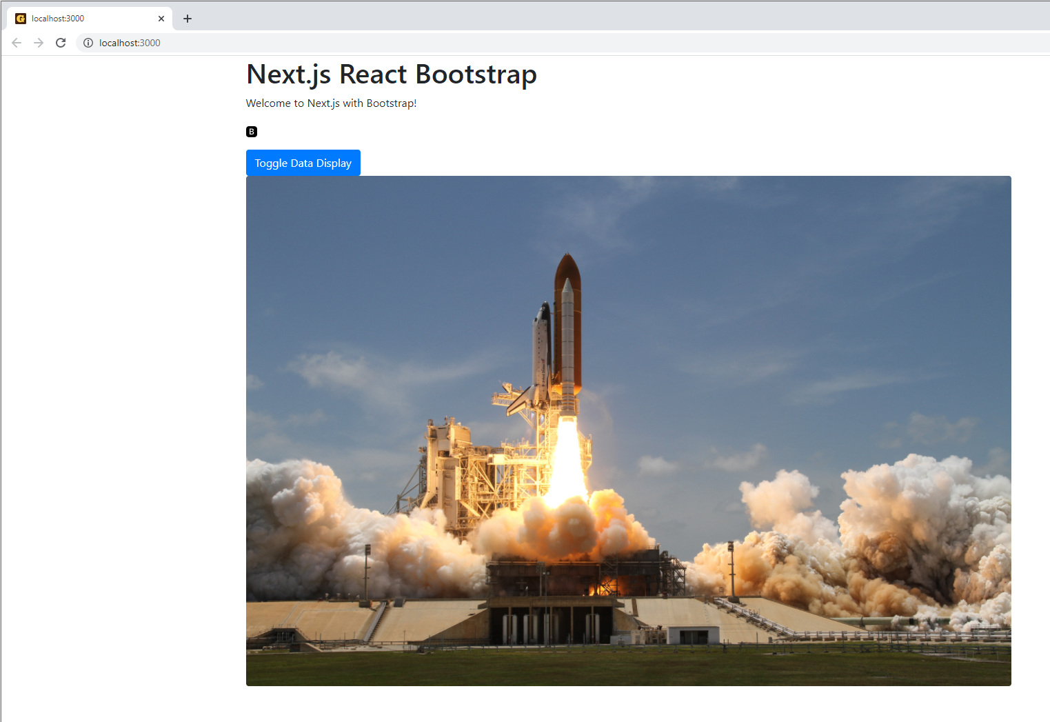 Next.js Bootstrap Boilerplate Local Development