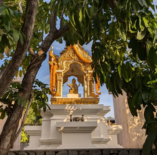 Giving the Shrine a Shine after the Rain