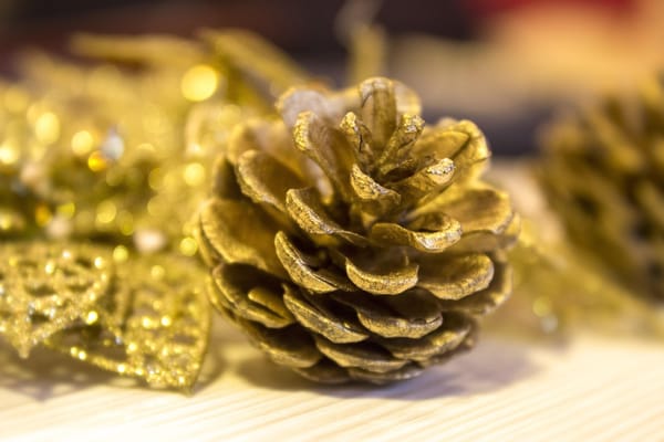 Pinecone Price Increase 😱 Is Chroma Cloud the Best Alternative?