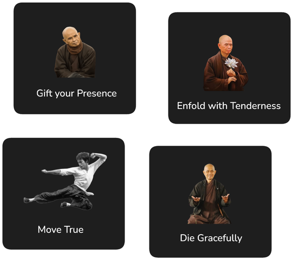 Key elements of framework: Gift your Presence, Enfold with Tenderness, Move True and Die Gracefully